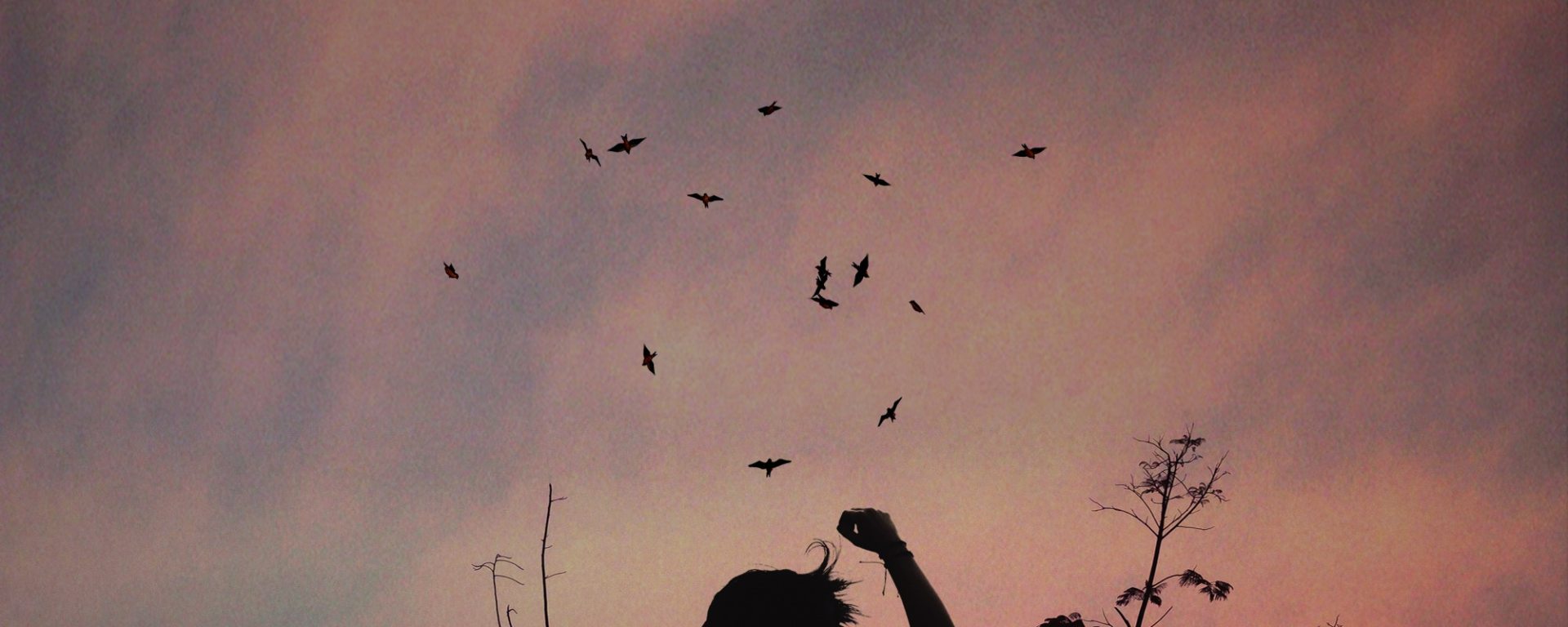 Art education: Using new resources and skills