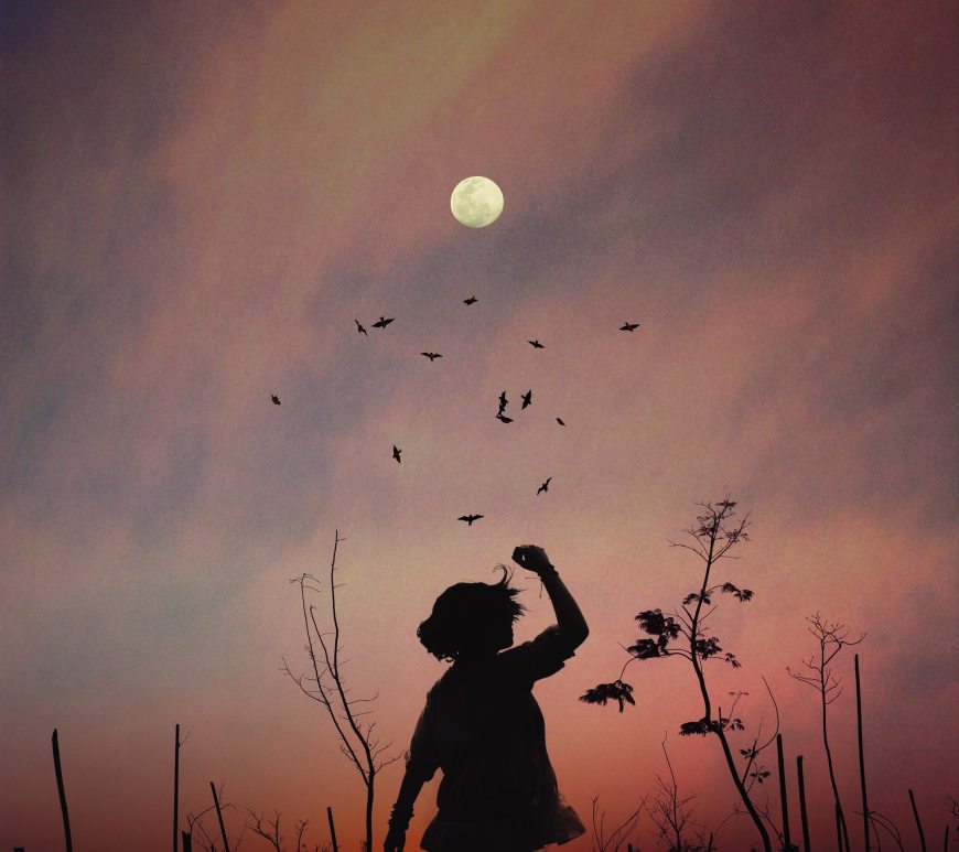 Art education: Using new resources and skills