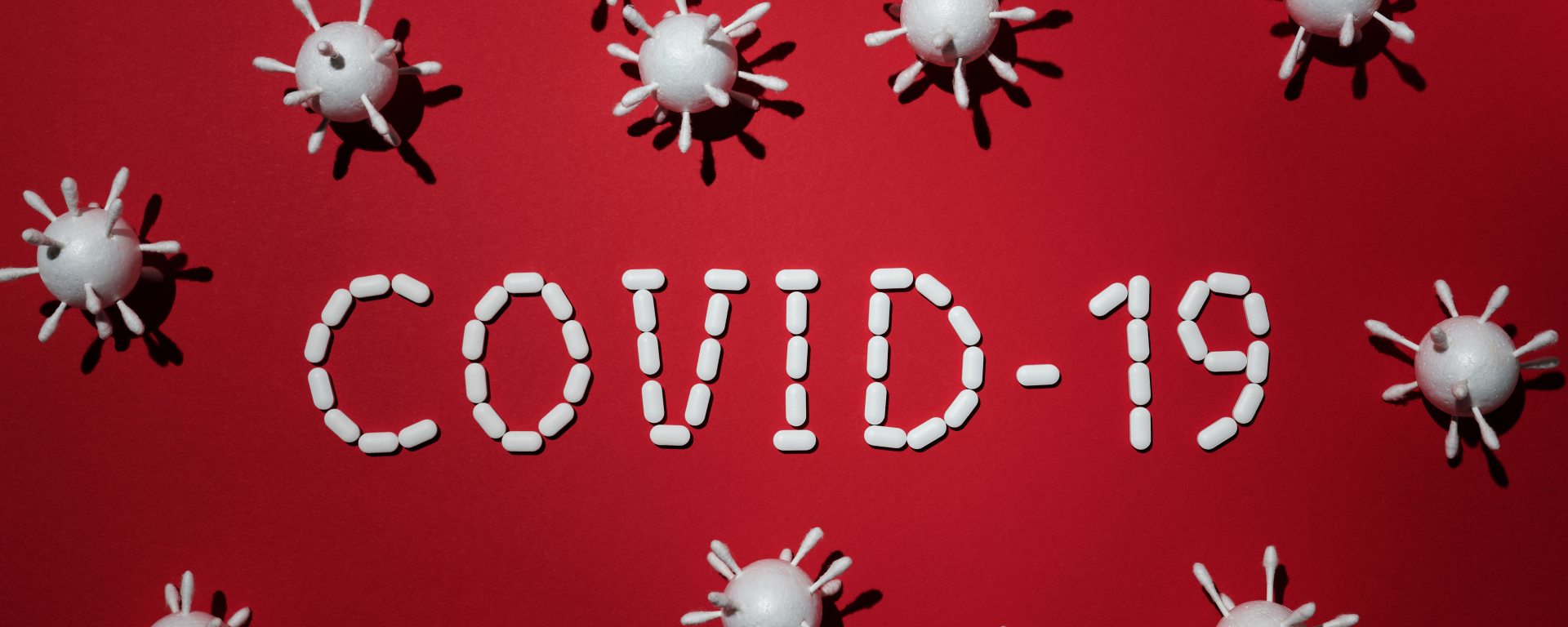 It's BIM time: The pandemic is getting worse in the United States, L214 is fighting for lambs and Obama is a hit