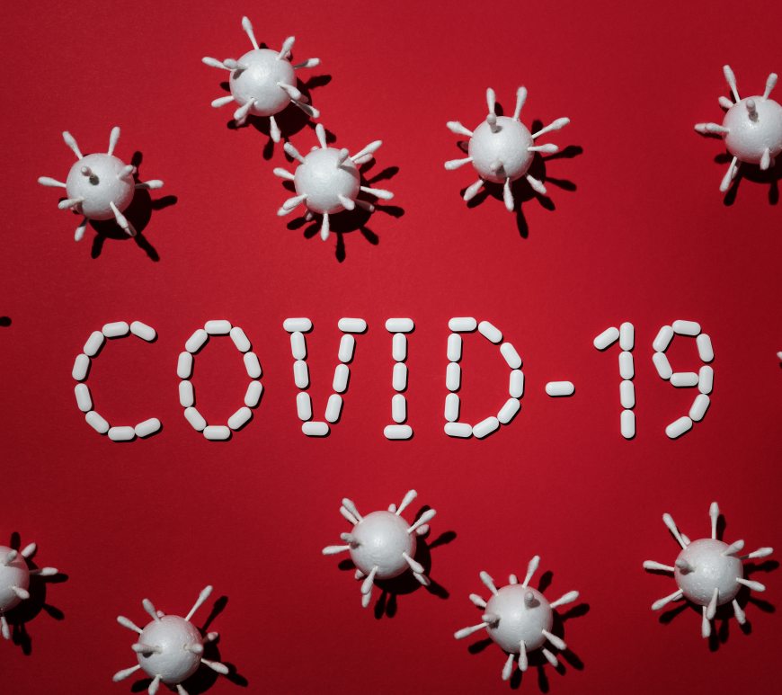 It's BIM time: The pandemic is getting worse in the United States, L214 is fighting for lambs and Obama is a hit